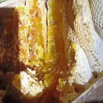 高原土蜂蜜