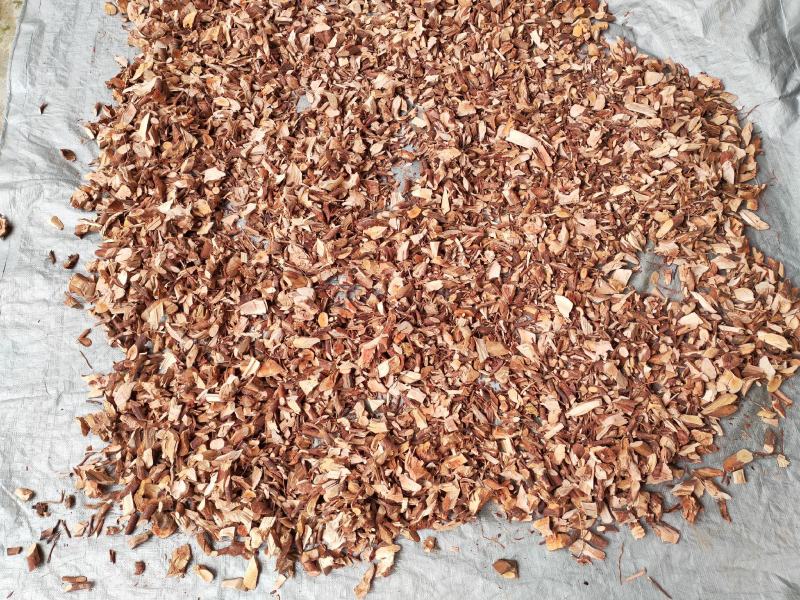 桃金娘根岗菍稔子树山稔子中药材中草药原料