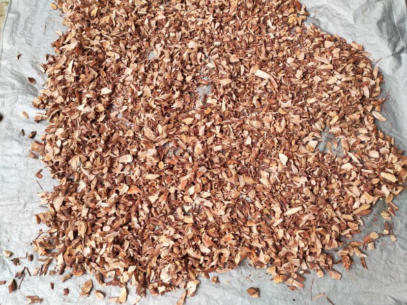 桃金娘根岗菍稔子树山稔子中药材中草药原料