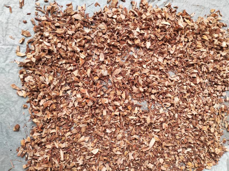 桃金娘根岗菍稔子树山稔子中药材中草药原料