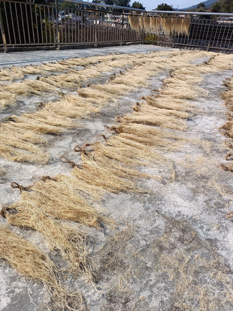 百条根徐长卿老君须产地直销一手货源足干货一年四季现挖现卖