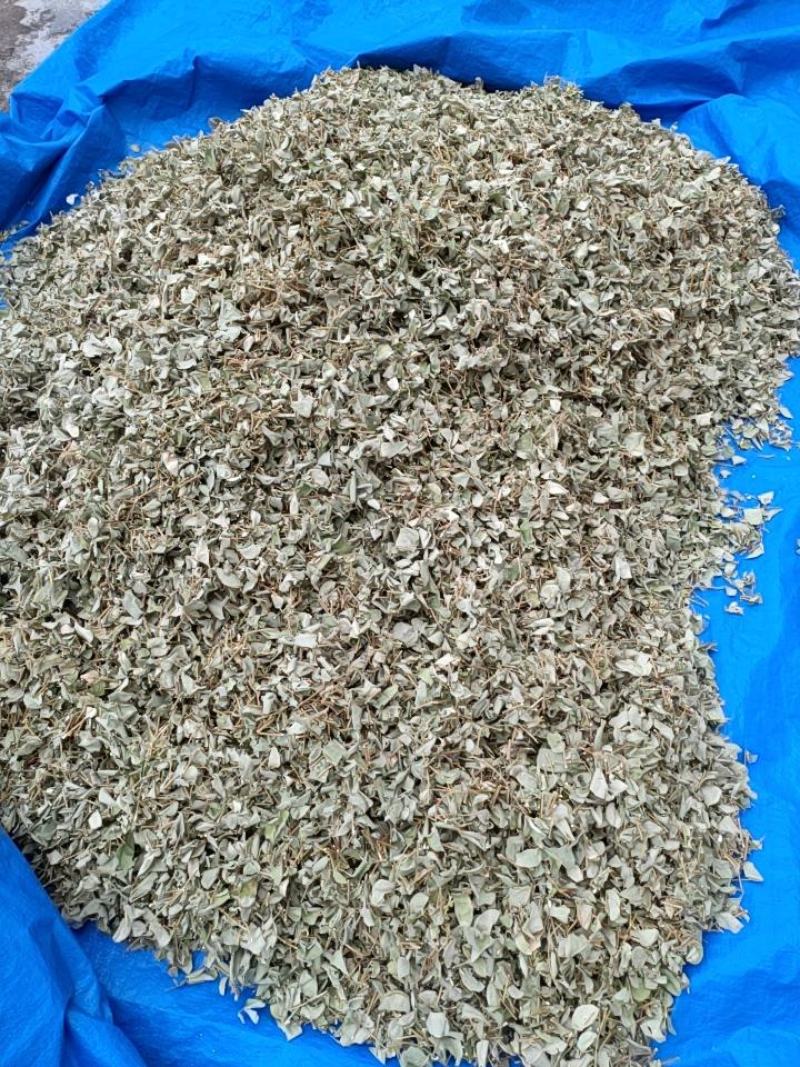 广金钱草中药材中草药原料批发