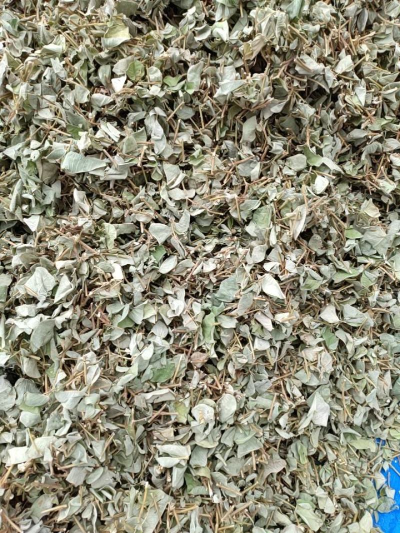 广金钱草中药材中草药原料批发