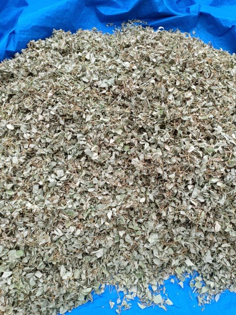 广金钱草中药材中草药原料批发