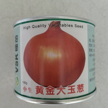 黄皮洋葱种子进口黄金大玉葱种子中晚熟黄圆葱种子黄洋葱