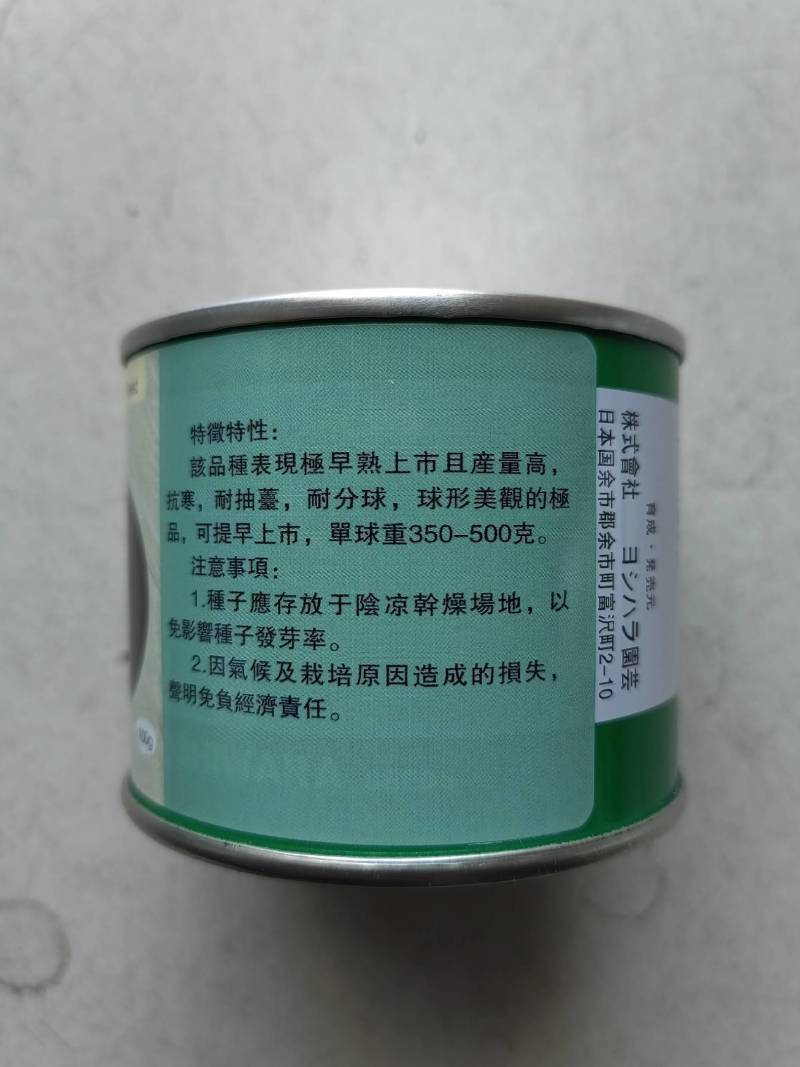 紫皮洋葱种子日本紫宝冠洋葱种子高产进口玉葱早熟基地种子