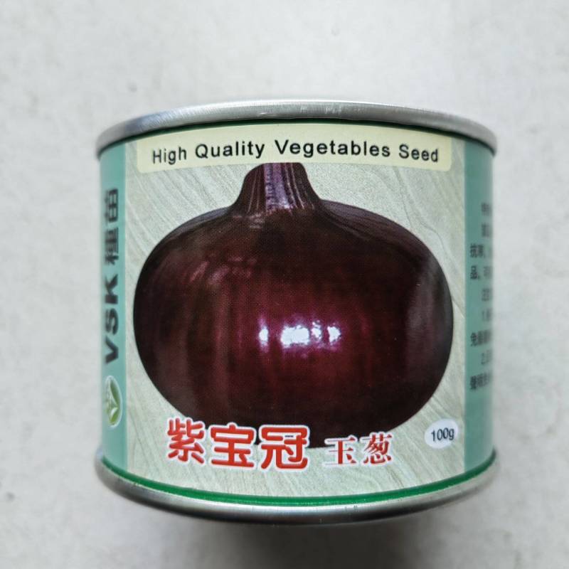 紫皮洋葱种子日本紫宝冠洋葱种子高产进口玉葱早熟基地种子