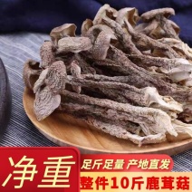 【益品如意】品牌新货鹿茸菇干货产地直发一斤起批包邮