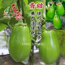 龙盛青甜茄子种子绿色灯泡茄种子果肉淡绿色青茄种子基地专用