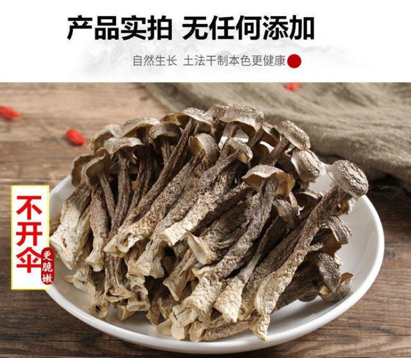 精品新货鹿茸菇脆脆菇干货产地直发批发包邮