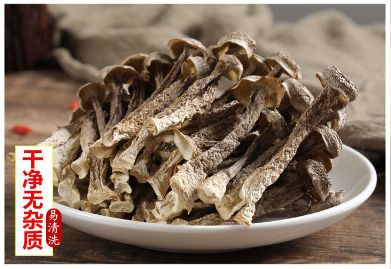 精品新货鹿茸菇脆脆菇干货产地直发批发包邮