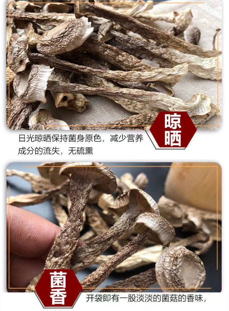 精品新货鹿茸菇脆脆菇干货产地直发批发包邮