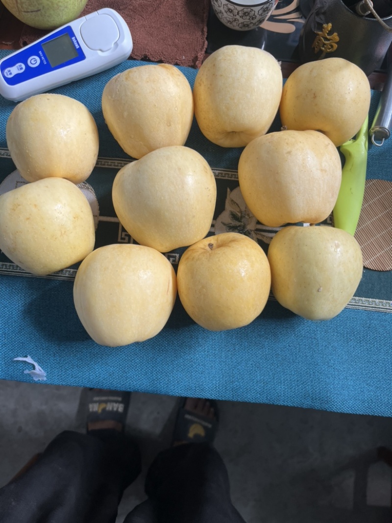 维纳斯黄金苹果马上开采