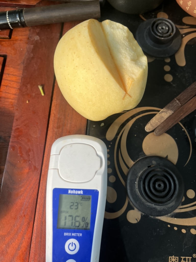 维纳斯黄金苹果马上开采