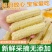 云南西双版纳母指拇指小玉米迷你白糯玉米老品种袖珍手指香糯