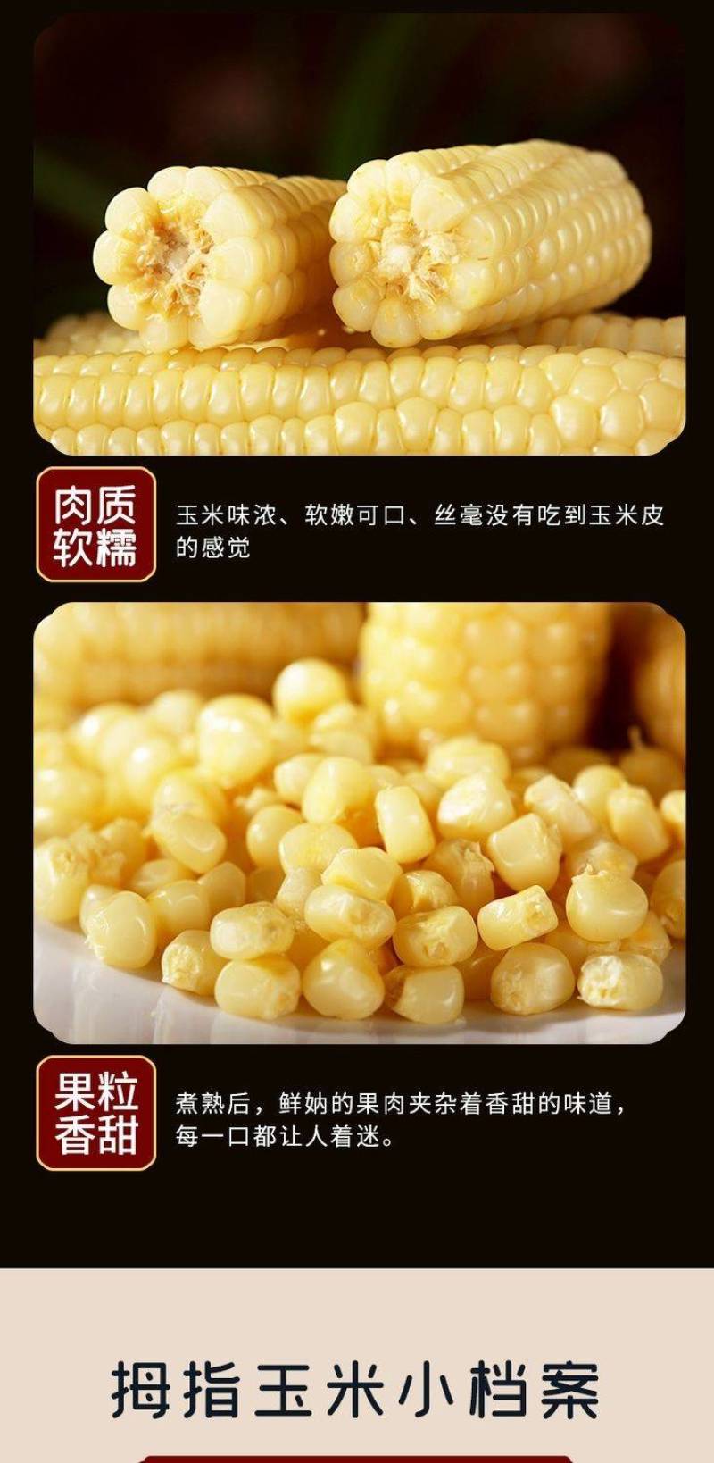 云南西双版纳母指拇指小玉米迷你白糯玉米老品种袖珍手指香糯