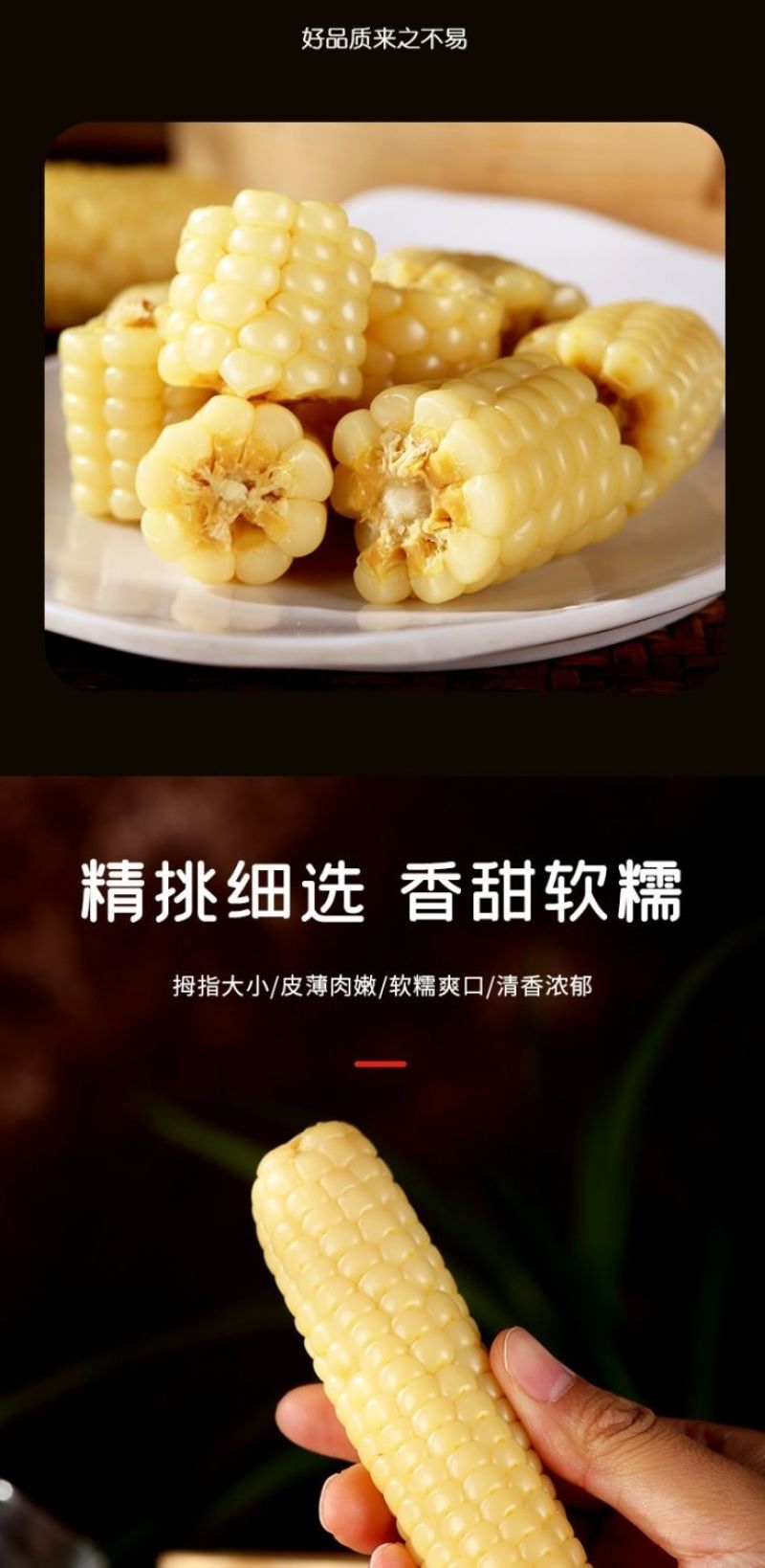 云南西双版纳母指拇指小玉米迷你白糯玉米老品种袖珍手指香糯