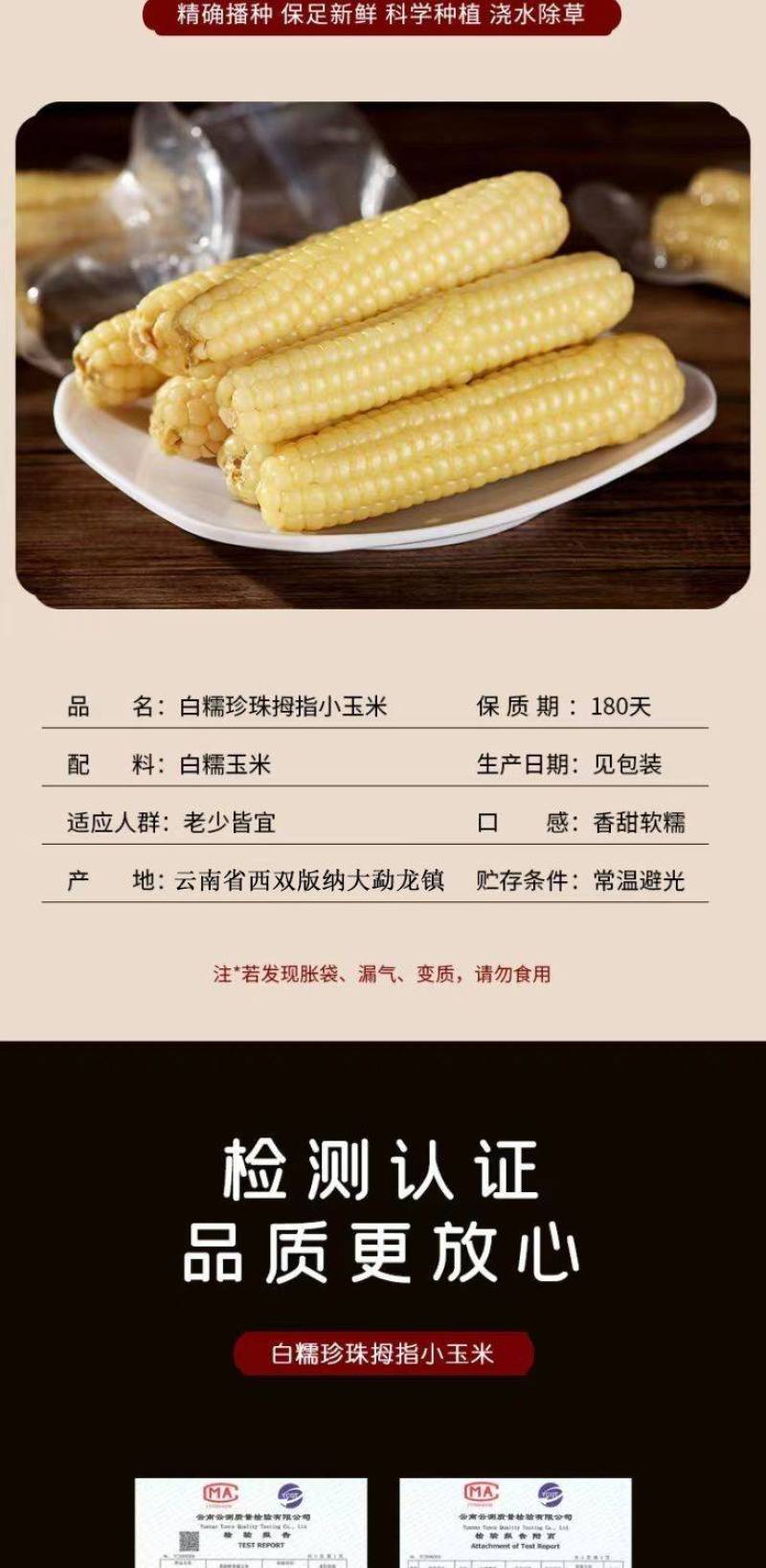 云南西双版纳母指拇指小玉米迷你白糯玉米老品种袖珍手指香糯