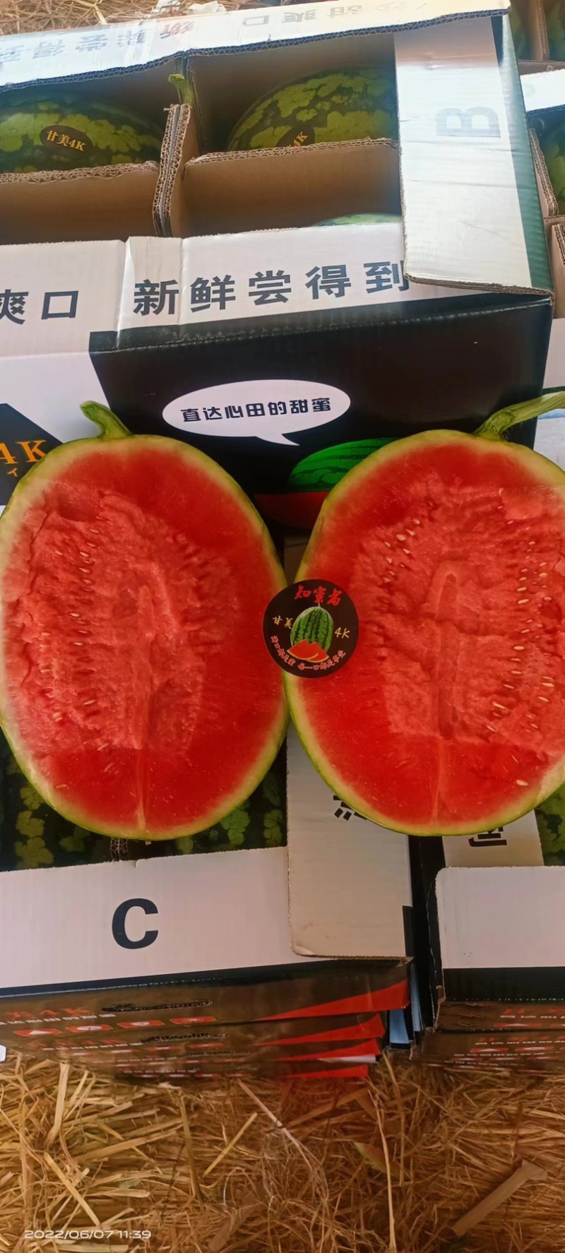 甘美4k西瓜，4k西瓜，糖度12个左右，个头5到8斤