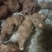 野生白肉土茯苓
