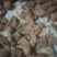 野生白肉土茯苓