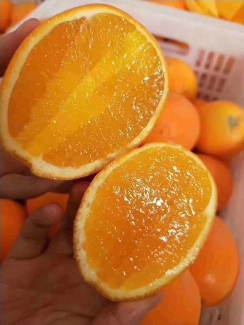湖北秭归长虹脐橙果型椭圆带长型产地货量大果园看货以质论价