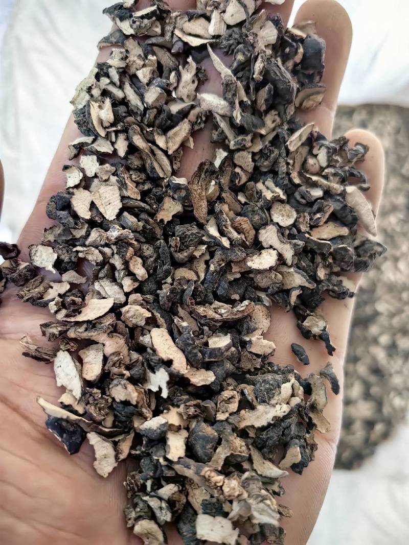 猪苓看规格下单支持混批一件代发1000克带杂志