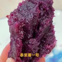 沙地水晶紫紫薯电商团购落地配一件
