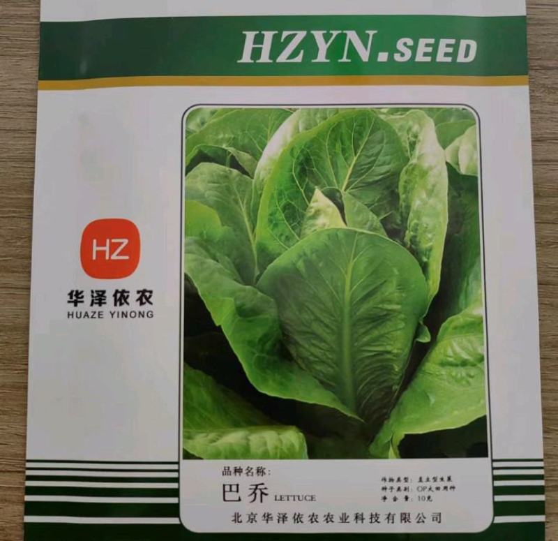 越冬花青素爆棚的紫韵-深紫色生菜种子罗马生菜种子精品