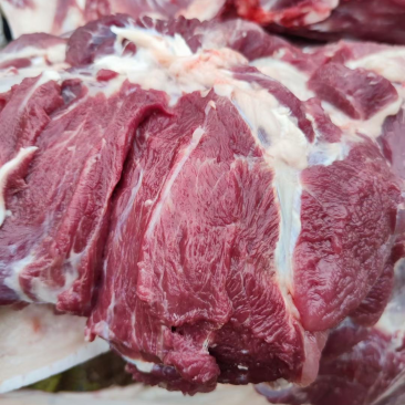 山东青岛常年出售黑猪肉分割品
