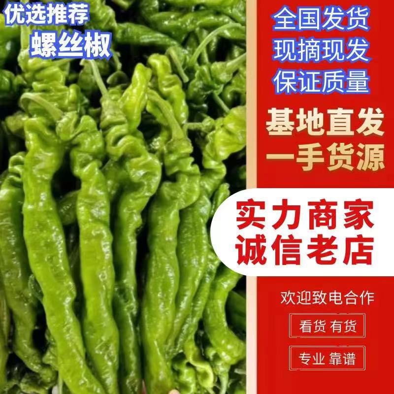 精品螺丝椒供应电商社区市场货量大，对接全国客户代发