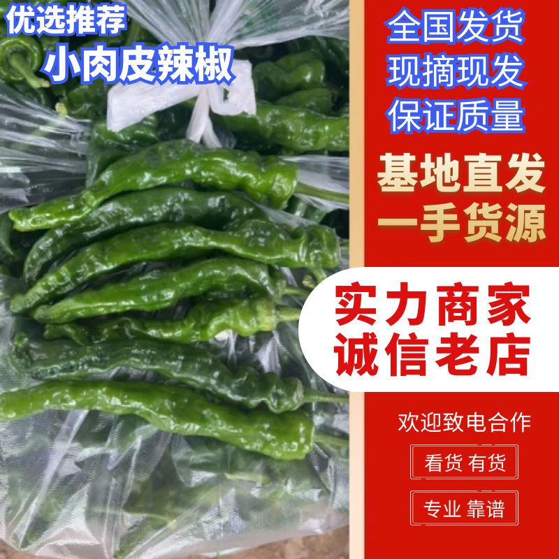 精品皱皮辣椒大量供应电商社区市场全国代发