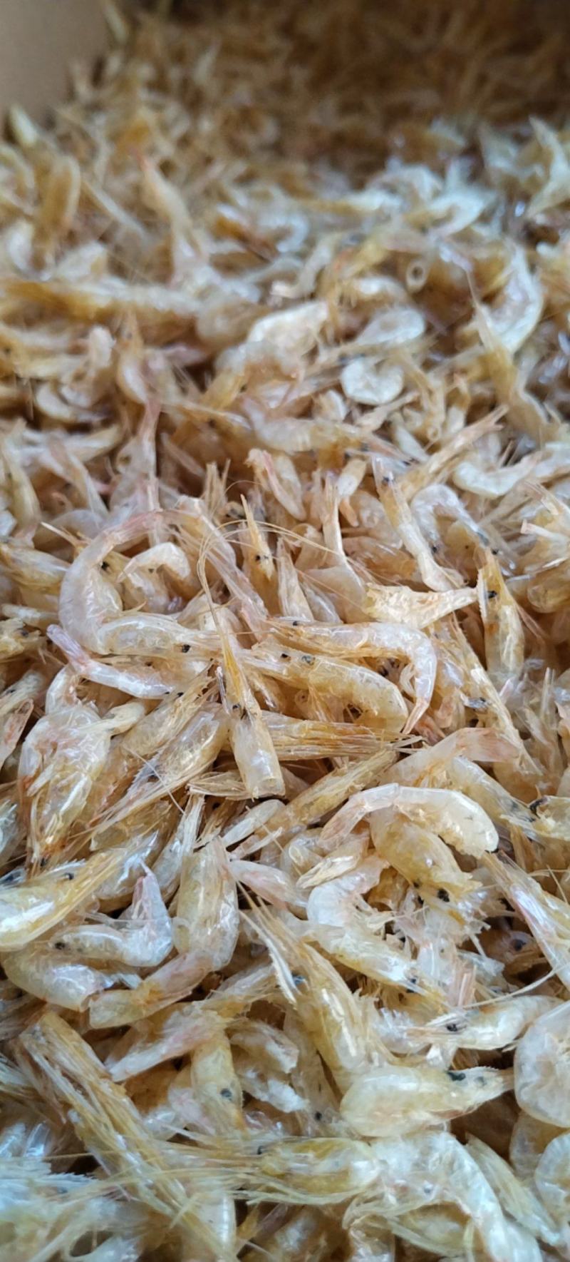 小白虾干中号小白虾烤虾虾干