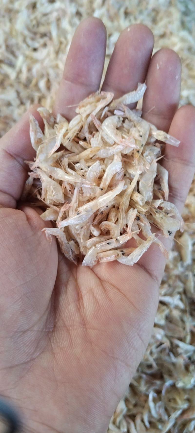 小白虾米虾干烤虾早餐虾