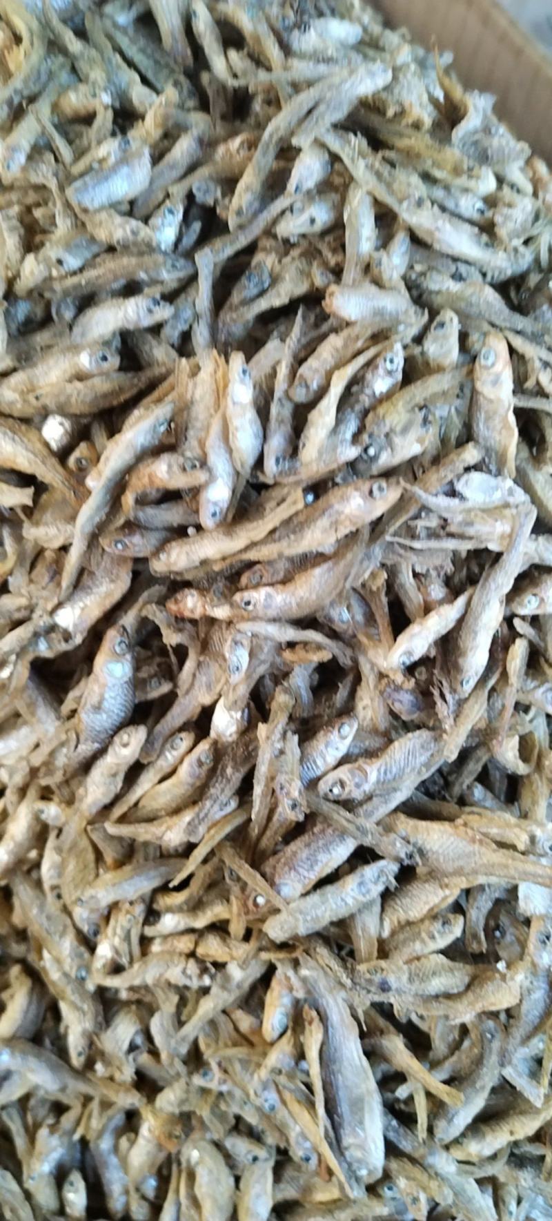 水煮小麦穗麦穗鱼嫩子鱼