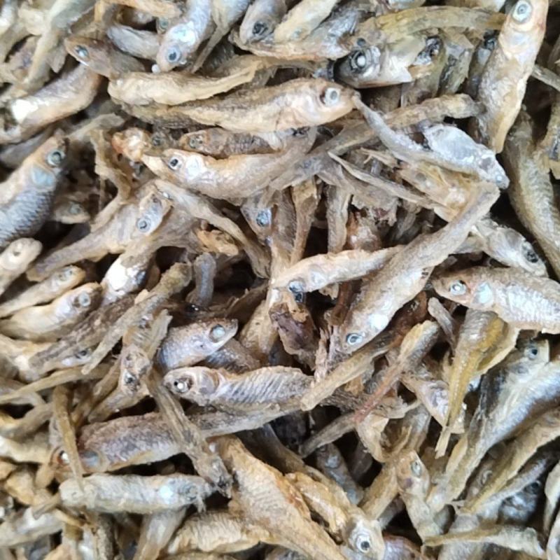 水煮小麦穗麦穗鱼嫩子鱼