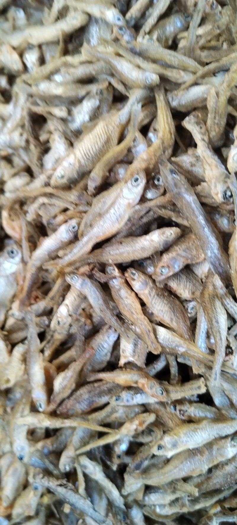 水煮小麦穗麦穗鱼嫩子鱼