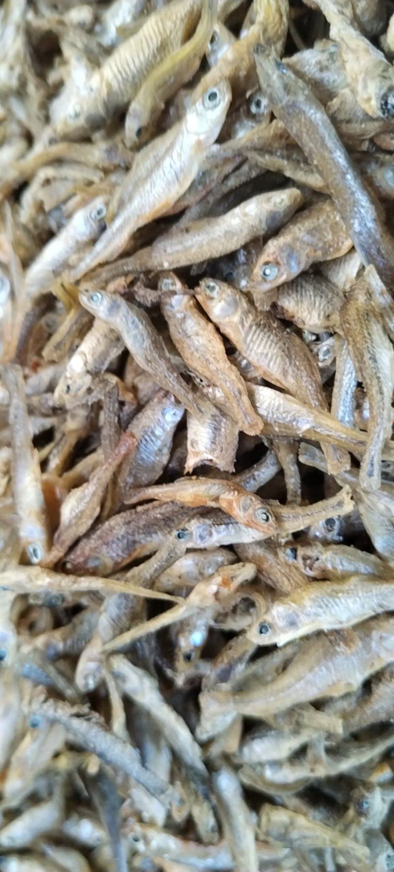 水煮小麦穗麦穗鱼嫩子鱼