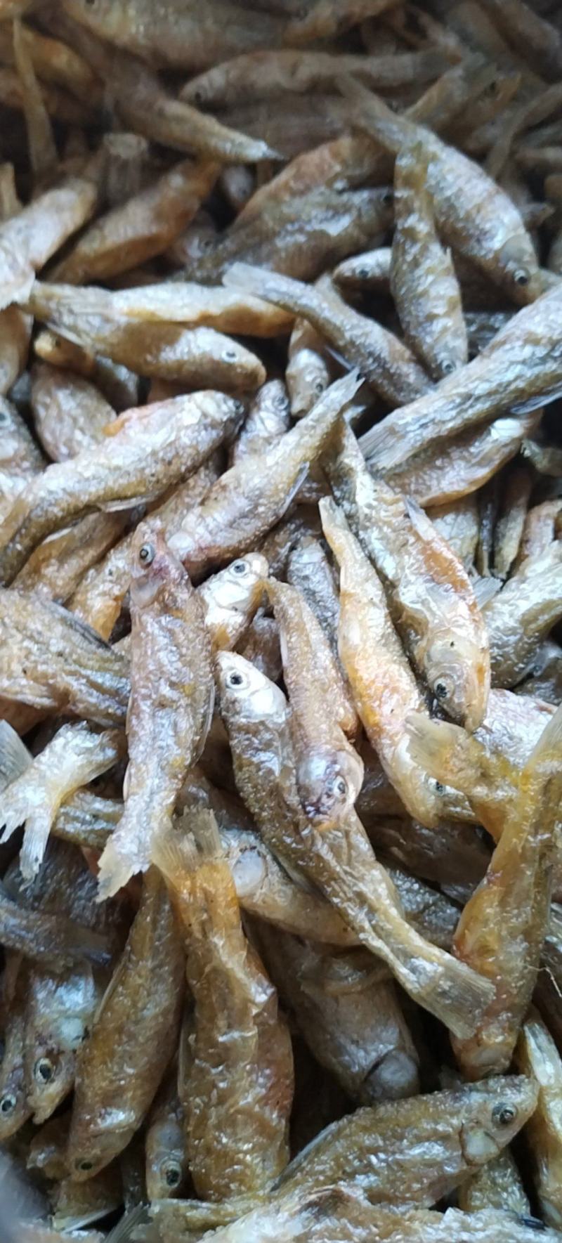 大油炸白麦穗大白嫩子鱼鱼干