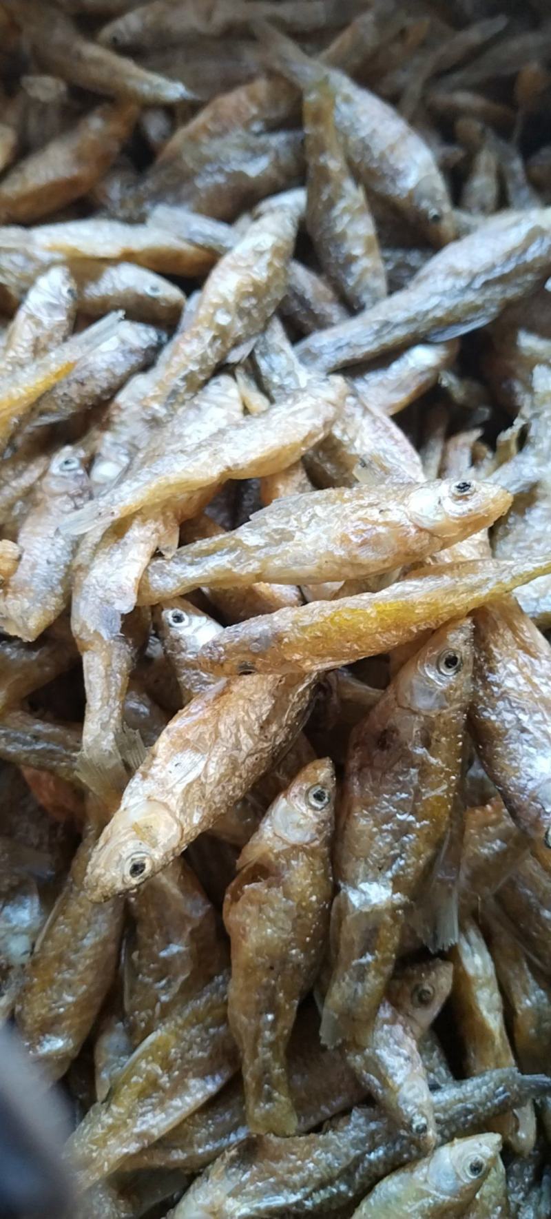 大油炸白麦穗大白嫩子鱼鱼干