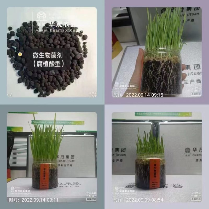 微生物菌剂，矿源腐植酸型，生根养根，，五吨送货到家