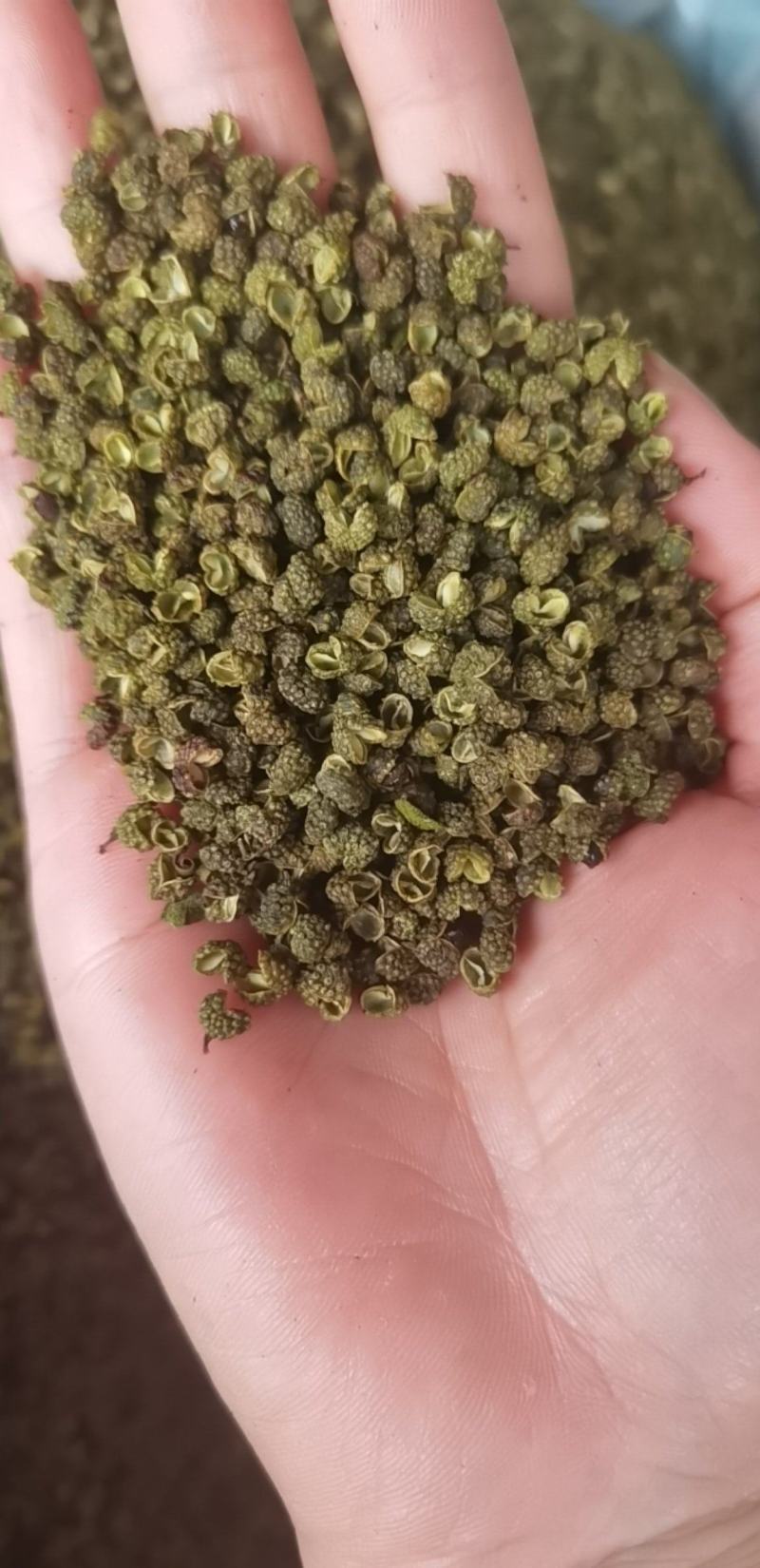 包邮云南金阳青花椒，青椒云南花椒产地直发品质保障