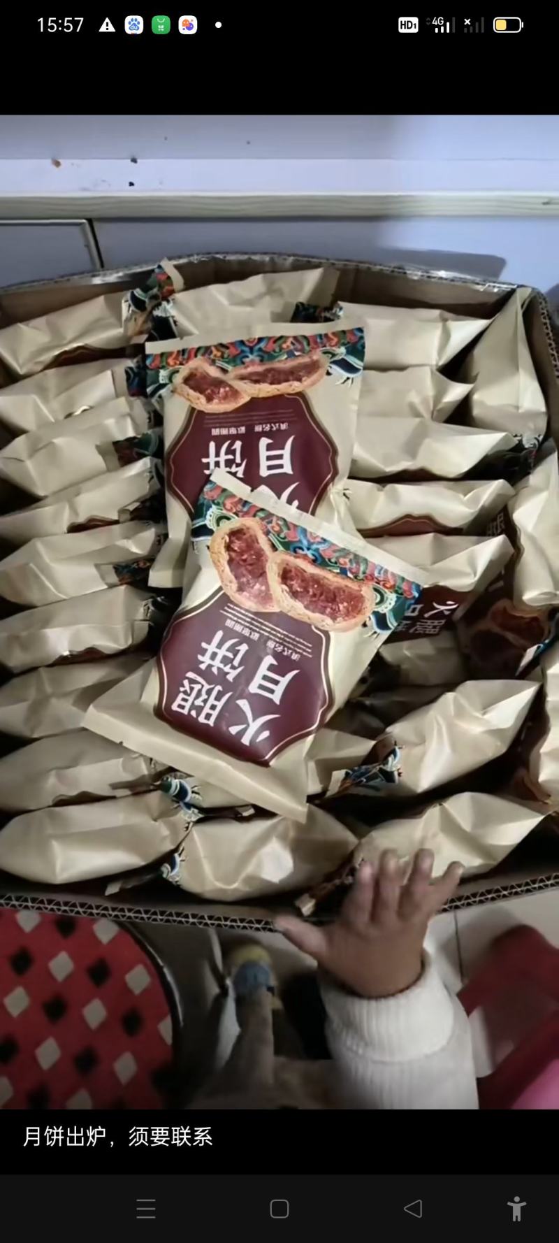 生态土猪肉火腿月饼