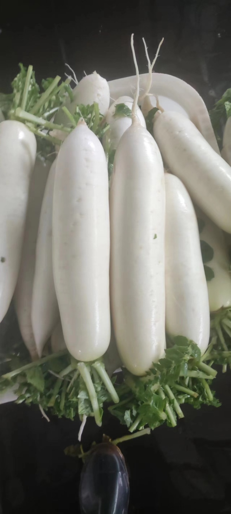 云南寻甸白萝卜种植基地现货直发