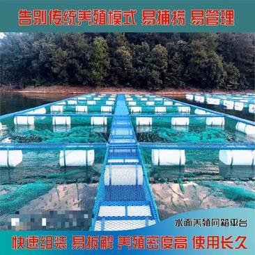 牛蛙养殖网箱水上浮筒浮桥钢构平台水库养殖网箱钓场存鱼网箱