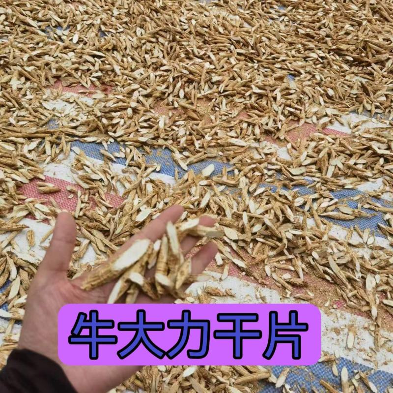 牛大力片40斤起批，牛大力片40斤起批.
