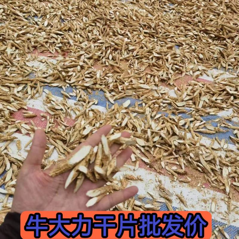 牛大力片40斤起批，牛大力片40斤起批.