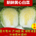 白菜黄心白菜吉林四平黄心白菜基地直供量大质优