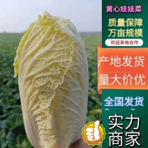 黄心娃娃菜，精品包装，一条龙服务，已经大量上市