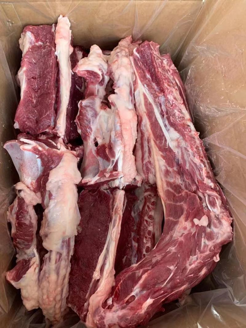 加肉羊蝎子大量上市价格优惠品质保证